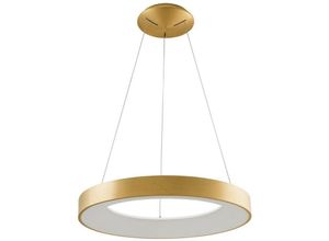 5900644311737 - Giulia - Moderner LED-hängender Anhänger gebürstetes Gold warmweiß 3000K 2750lm - Italux