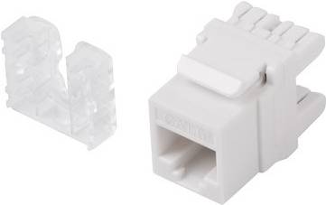 5901969415841 - Keystone-Stecker lanberg cat6 utp rj45 180 Grad