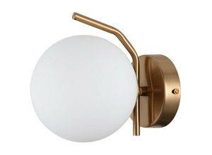 5902854532469 - Carimi - Moderne Wandleuchte Honey Brass 1 Light mit weißem Schirm G9 - Italux