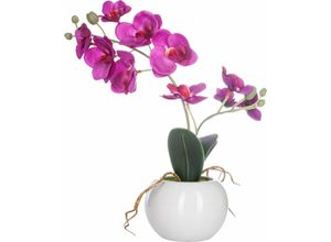 5902973414509 - Künstliche Orchidee rosa im Topf 25 cm - Atmosphera