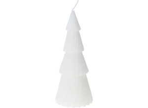 5902973436006 - Home Styling - Dekokerze Weihnachtsbaum 7 x 21 cm