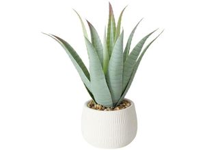 5902973438680 - Boltze Gruppe - Künstliche Aloe-Pflanze im Blumentopf mondrago 29 cm