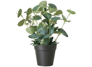 5902973438697 - Boltze Gruppe - Kunstpflanze sage Eukalyptus in einem Topf 30 cm