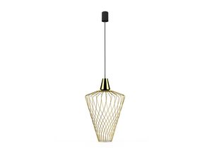 5903139885799 - Nowodvorski Lighting Hängeleuchte Wave L mit Käfigschirm gold