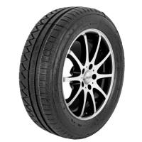 5903317011385 - Winter Maxx Evo ( 225 50 R17 94H runderneuert )