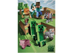 5904209604562 - Fleecedecke 100x150 Minecraft Creative 5904209604562 - Fleecedecke 100x150 Minecraft Creative