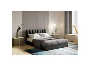 5904347103033 - City Boxspringbett 200 x 200 mit Bettkasten und Topper Dunkelgrau - Trada