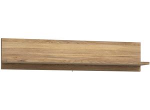 5904767839413 - Wandboard FORTE braun (mauvella eiche) Regale B H T 125cm x 256cm x 219cm Dekorfolie Spanplatte B125cm H256cm T219cm