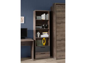 5904767889630 - Standregal Jacky braun (schlammeichefarben schwarzeichefarben) Regale B H T 60cm x 189cm x 35cm FSC-zertifizierter Holzwerkstoff B60cm H189cm T35cm