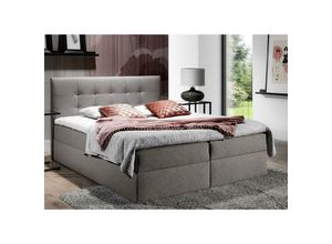 5905351203122 - Boxspringbett trezo 2 140x200 mit tiefen Bettkasten und Topper LS98 - Furnix