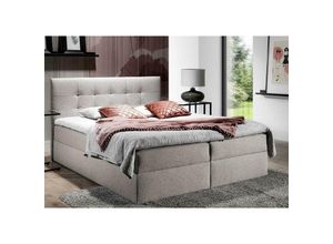 5905351203139 - Boxspringbett trezo 2 140x200 mit tiefen Bettkasten und Topper LS82 - Furnix