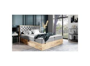 5905351204051 - Boxspringbett terrie 160x200 mit Bettkasten aus Möbelplatten & Topper FR4 - Furnix