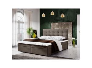 5905351266806 - FURNIX Polsterbett mit Bettkasten FISON 2 140x200 Boxspringbett CO03 Braun