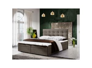 5905351266844 - Polsterbett mit Bettkasten fison 2 160x200 Boxspringbett CO03 Braun - Furnix