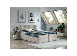 5905351277239 - Boxspringbett trezo 3 180x200 mit Bettkasten und Topper AR70886 Creme - Furnix