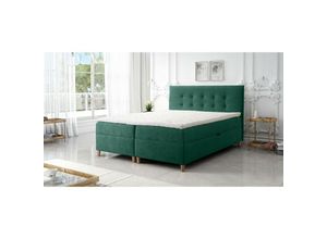 5905351277598 - Boxspringbett deise 140x200 Doppelbett Topper und Holzfüße LM9 Grün - Furnix