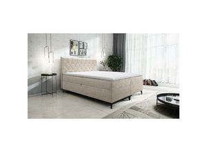 5905351278106 - Boxspringbett jullie 160x200 mit Topper und Bettkasten LM5 Creme - Furnix