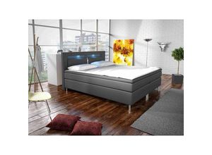 5905351292331 - Boxspringbett Hailyn 140 200 cm Doppelbett mit Topper und led Eco Leder grau - Furnix