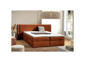5905351293734 - Boxspringbett Darci 120x200 mit Bettkasten & Topper MD2213 Orange - Furnix