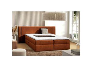 5905351293741 - Boxspringbett Darci 140x200 mit Bettkasten & Topper MD2213 Orange - Furnix