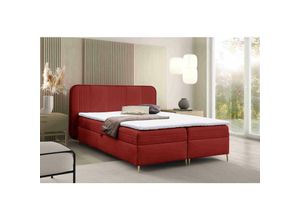 5905351293857 - Boxspringbett Alisom 120x200 mit Bettkasten & Topper F8 Rot - Furnix