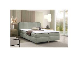 5905351294014 - Boxspringbett Alisom 120x200 mit Bettkasten & Topper F14 Grau - Furnix