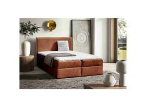 5905351294335 - FURNIX Boxspringbett Krisi 120x200 mit Bettkasten & Topper MD2213 Orange