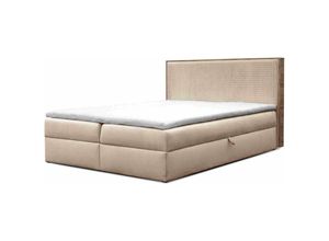 5905351294564 - Boxspringbett Krisi 180x200 mit Bettkasten & Topper MD2244 Rosa - Furnix