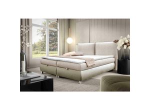 5905351294618 - Boxspringbett Traviss 120x200 mit Bettkasten & Topper VN0301 Beige - Furnix