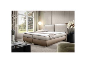 5905351294663 - Boxspringbett Traviss 140x200 mit Bettkasten & Topper VN1326 Grau - Furnix