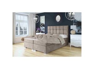 5905351295981 - Boxspringbett kaity 140x200 Bett mit Topper und silberne Füße ML09 rosa - Furnix