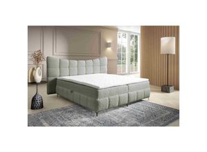 5905351296421 - Boxspringbett Blosom 140x200 Doppelbett Topper und Metalfüße RF6 Hellgrau - Furnix