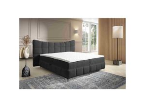 5905351296490 - Boxspringbett Blosom 120x200 Doppelbett Topper und Metalfüße RF8 Dunkelbraun - Furnix