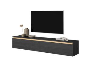 5905386050449 - Selsey - seney TV-Möbel 175 cm Esche Schwarz mit goldenem Einsatz