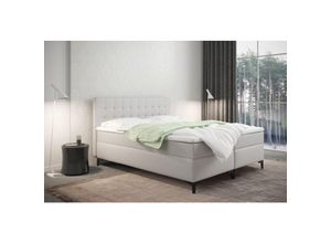 5905815185353 - Boxspringbett mit bettkasten und matratze Denver Kunstleder Weiß 120x200 cm