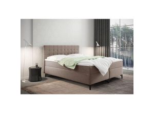 5905815186589 - Boxspringbett mit bettkasten und matratze Denver stoff Muna Dunkelbeige 120x200 cm