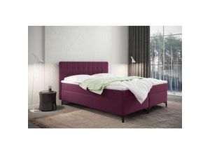 5905815186787 - Boxspringbett mit bettkasten und matratze Denver stoff Muna Rosa 120x200 cm