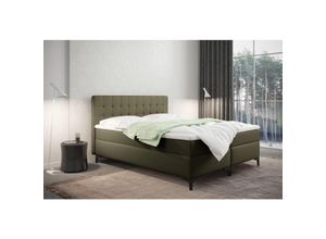 5905815186886 - Boxspringbett mit bettkasten und matratze Denver Kunstleder Olive 120x200 cm