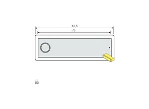 5906245078482 - ► RENZ Klingeltaster RSA2 kompakt -Edelstahl 97-9-85317 aus Edelstahl oder Aluminium