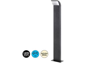 5998250371672 - 7167 Wegeleuchte hongkong Aluminium schwarz led 9W IP65 4000K L10cm B15cm H80cm - Rabalux