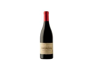 6002039004732 - Syrah 2020 - 75cl