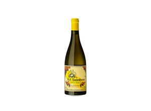 6009800591828 - AA Badenhorts Badenhorst The Golden Slopes Chenin Blanc 2021 - 75cl