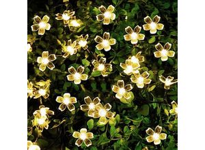 6219466699527 - Paryou - 65 m warmweiße wasserdichte LED-Solar-Blumen-Lichterkette Lichterkette für Gartendekorationen Innenbeleuchtung Dekoration für Hochzeit