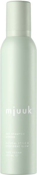 6417128140060 - Dry Shampoo Mousse 250 ml