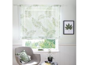 6920192965717 - Raffrollo MY HOME Paula Gr 3 grün B100cm H140cm Voile Obermaterial 100% Polyester Raffrollos Bändchenrollo