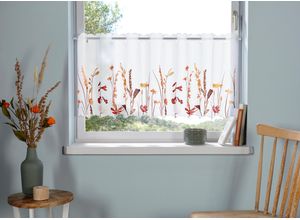 6920192969623 - Scheibengardine HOME AFFAIRE Bille Gr 2 braun B120cm H30cm Voile Polyester Gardinen transparent mit einseitiger Stickerei waschbar Blumen