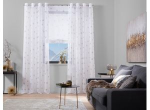 6920192973071 - my home Gardine »Stern« (1 St) Transparent Voile Polyester 6920192973071 - my home Gardine »Stern« (1 St) Transparent Voile Polyester