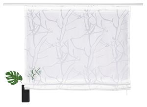 6930325741231 - Raffrollo MY HOME Anna Gr 3 weiß B80cm H130cm Ausbrenner Obermaterial 70% Viskose 30% Polyester Raffrollos Halbtransparent Ausbrenner Viskose Topseller