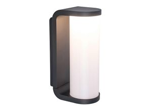 6939412049069 - Lutec - led Außenwandleuchte adalyn Schwarz Glas-Zylinder IP44 7x20cm