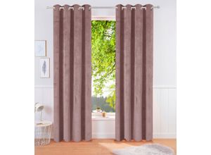 6954037259808 - Vorhang LEGER HOME BY LENA GERCKE Samt Ladina Gr 2 lila (mauve) B140cm H175cm Polyester Recyceltes Material Gardinen blickdichter Vorhang nachhaltige Gardine Samt Vorhang